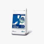 Yeso Tradicional Bolsa Tuyango