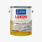 Latex Loxon Satinado Larga Duracion